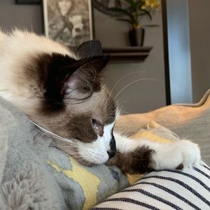 Meet your Posher, Quinn